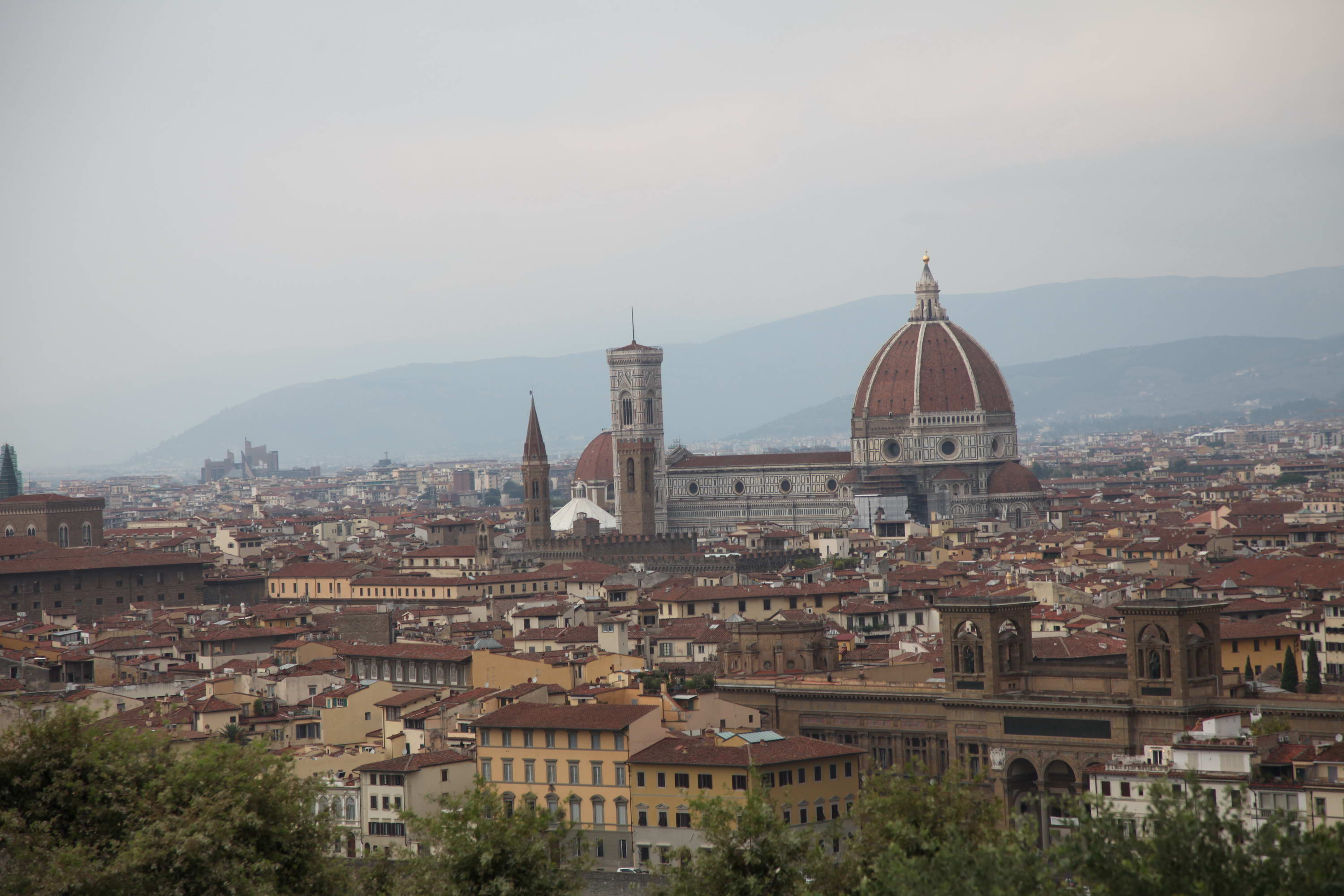 Blick auf Florenz